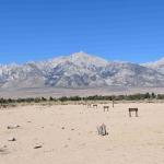 DSC_0198_00194 (July 11, 2022)