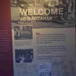 DSC_0199_00195 (July 11, 2022)