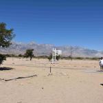 DSC_0207_00203 (July 11, 2022)