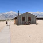 DSC_0210_00206 (July 11, 2022)