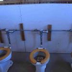 DSC_0211_00207 (July 11, 2022)