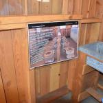 DSC_0212_00208 (July 11, 2022)