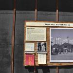 DSC_0218_00214 (July 11, 2022)