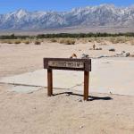 DSC_0230_00226 (July 11, 2022)