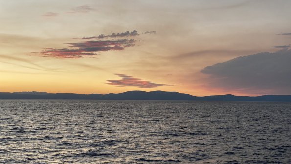 OTRA_2022_242
