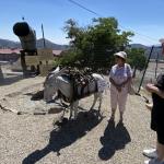 OTRA_2022_266 (July 13, 2022)