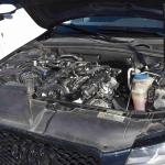 DSC_0023_00016 (January 01, 2022)