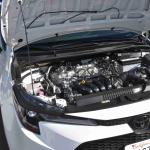 DSC_0024_00017 (January 01, 2022)