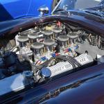 DSC_0025_00018 (January 01, 2022)