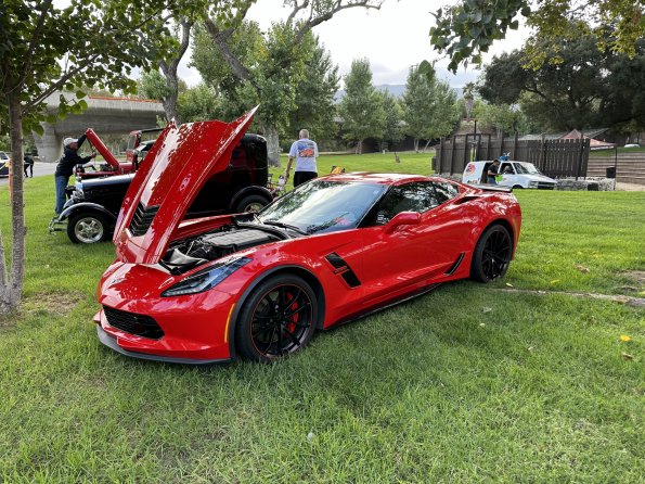 PatriottsandPaws_010