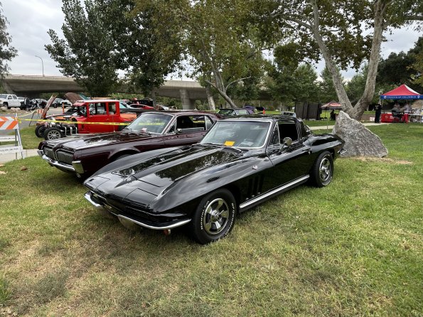 PatriottsandPaws_017