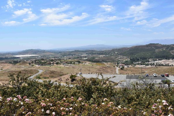 DSC_0118_00107