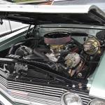 DSC_0064_00064 (October 12, 2024)