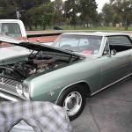 DSC_0066_00066 (October 12, 2024)