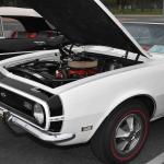 DSC_0071_00071 (October 12, 2024)