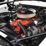 DSC_0072_00072 (October 12, 2024)