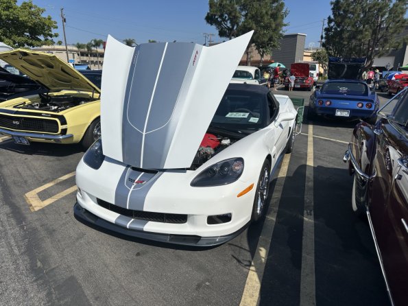 AL133CarShow_0012_01