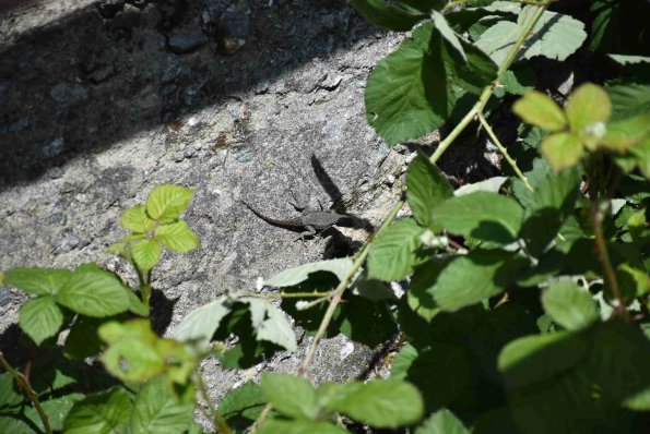 DSC_0180_00180