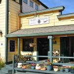 DSC_0067_00063 (November 03, 2024)