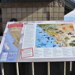 DSC_0087_00083 (November 03, 2024)