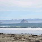 DSC_0088_00084 (November 03, 2024)