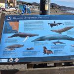 DSC_0089_00085 (November 03, 2024)