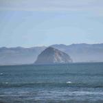 DSC_0090_00086 (November 03, 2024)