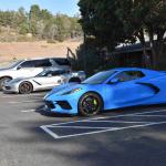 DSC_0095_00091 (November 03, 2024)