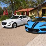 DSC_0108_00104 (November 03, 2024)