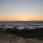 DSC_0125_00117 (November 03, 2024)