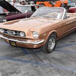 Cruisin for a Cure (September 28, 2024)