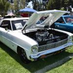 DSC_0042_00042 (June 15, 2024)