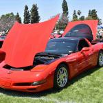 DSC_0049_00049 (June 15, 2024)