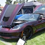 DSC_0051_00051 (June 15, 2024)