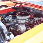 DSC_0064_00064 (June 15, 2024)