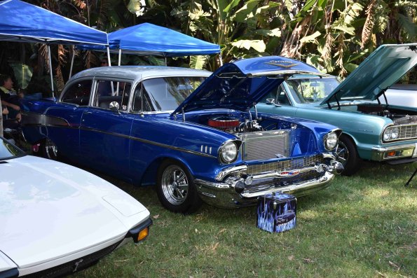 DSC_0045_00045