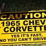 DSC_0074_00074 (September 08, 2024)