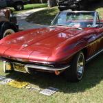 DSC_0077_00077 (September 08, 2024)