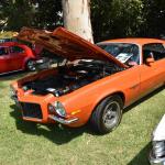 DSC_0080_00080 (September 08, 2024)