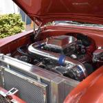 DSC_0089_00089 (September 08, 2024)