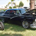 DSC_0092_00092 (September 08, 2024)