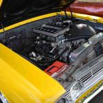 DSC_0018_00018 (April 06, 2024)