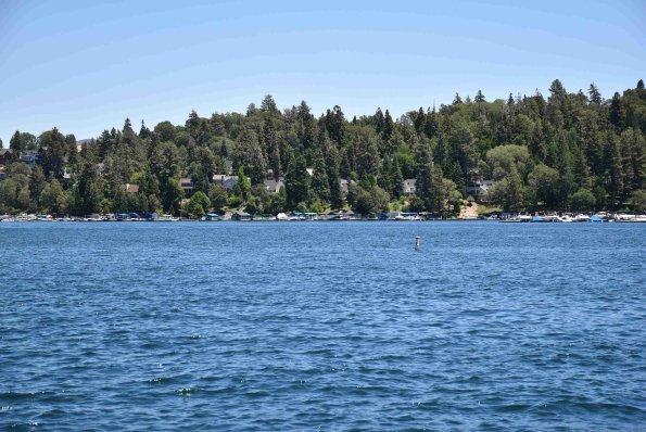 DSC_0007_00007