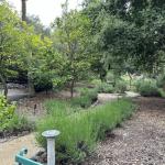 Modjeska_park_028 (May 28, 2024)