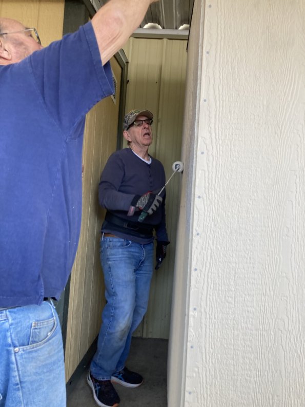 ShedBuild_032