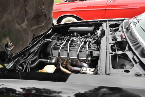 DSC_0019_00018