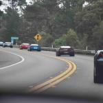 DSC_0021_1761 (November 05, 2025)