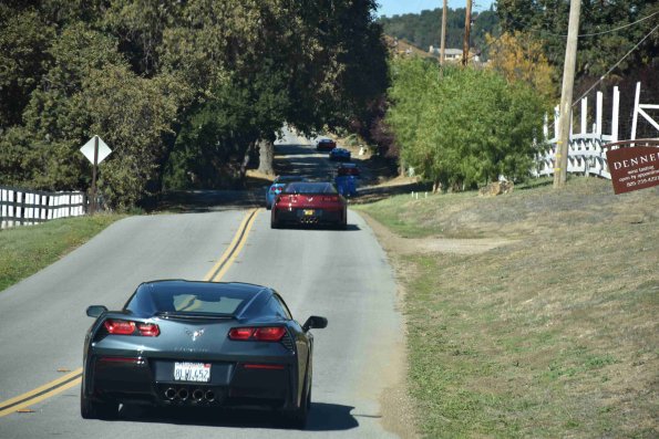 DSC_0064_1795