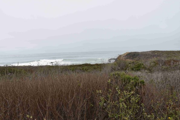 DSC_0108_1836
