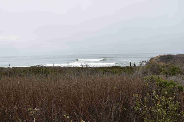 DSC_0109_1837